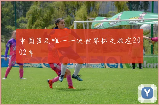 中国男足唯一一次世界杯之旅在2002年