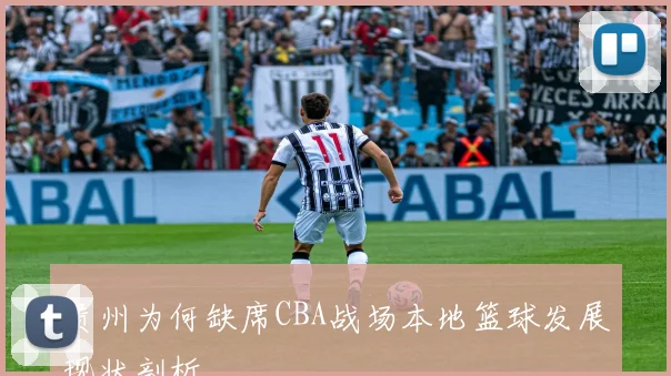 贵州为何缺席CBA战场本地篮球发展现状剖析