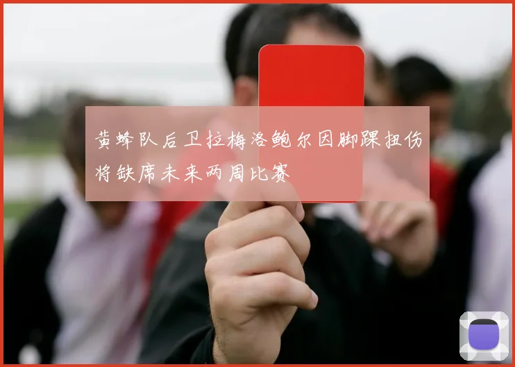 黄蜂队后卫拉梅洛鲍尔因脚踝扭伤将缺席未来两周比赛
