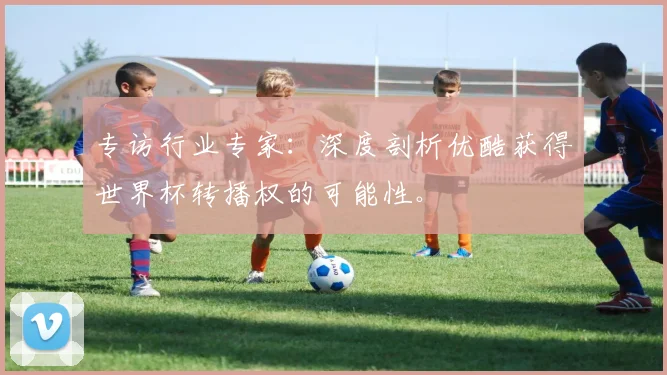 专访行业专家：深度剖析优酷获得世界杯转播权的可能性。