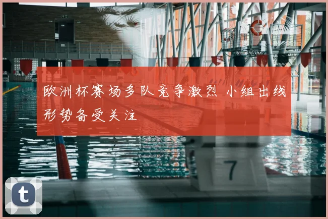 欧洲杯赛场多队竞争激烈 小组出线形势备受关注