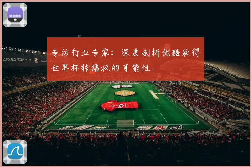 专访行业专家:深度剖析优酷获得世界杯转播权的可能性。