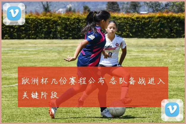 欧洲杯几份赛程公布 各队备战进入关键阶段