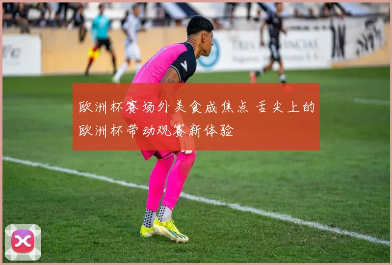 欧洲杯赛场外美食成焦点 舌尖上的欧洲杯带动观赛新体验