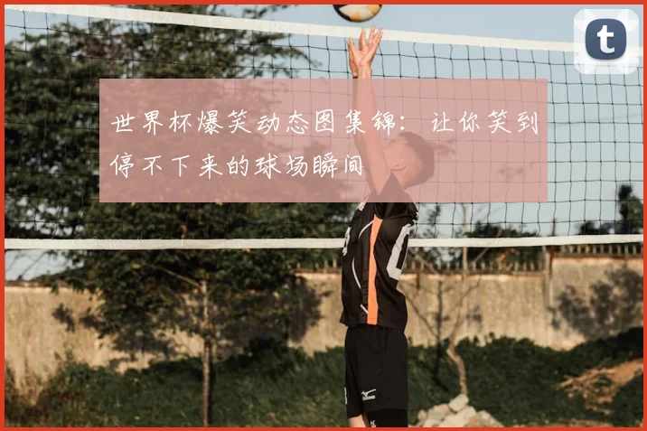 世界杯爆笑动态图集锦：让你笑到停不下来的球场瞬间