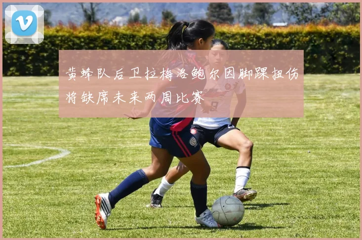 黄蜂队后卫拉梅洛鲍尔因脚踝扭伤将缺席未来两周比赛